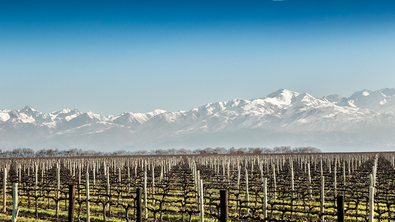 Visa - Mendoza