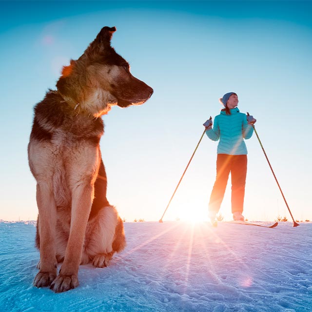 Mujer esquiando en la nieve con un perro