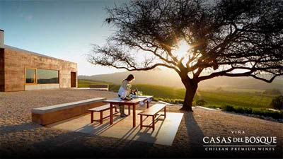 casas-bosque-400x225 Persona al aire libre + logo Casas del Bosque