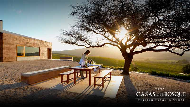casas-bosque-800x450 Logo Viña Casas del Bosque